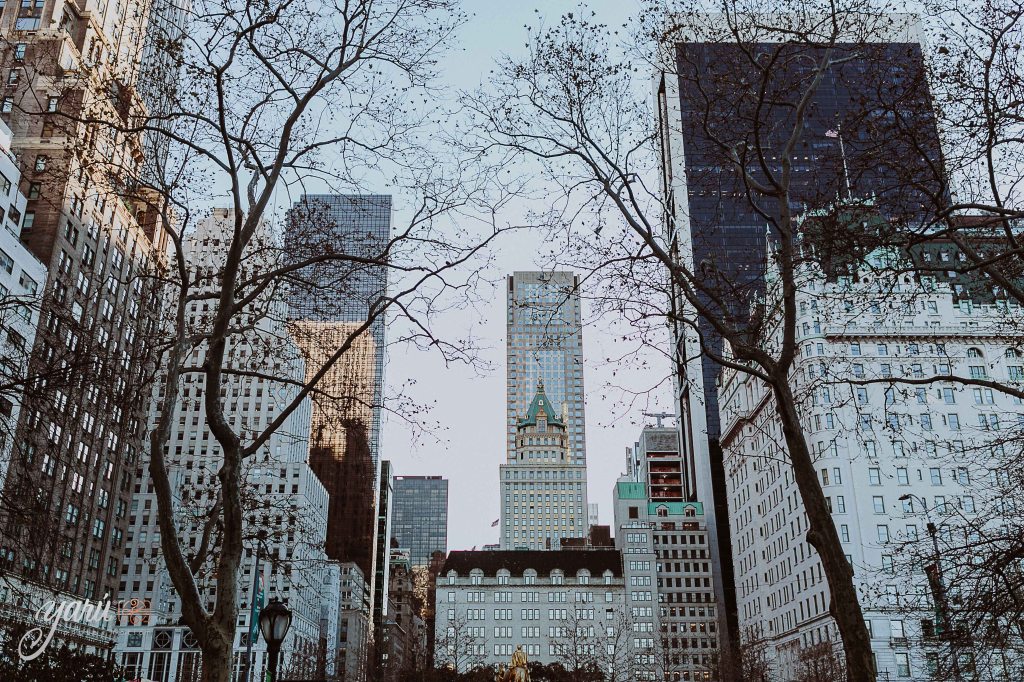 New_York_2018_Yaru_Photo_Motion_1-533